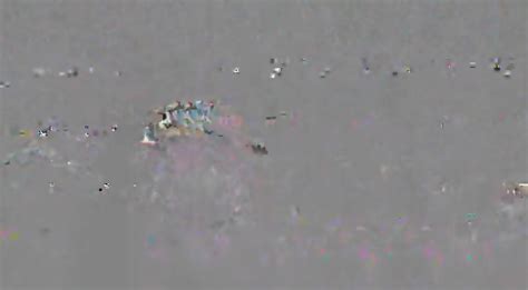 Busty Nubian Queen From Behind Tits Swinging