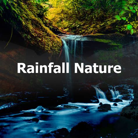 Rainfall Nature Album By Rainforest Sounds Spotify