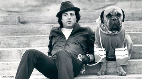 Sylvester Stallone bought his dog back when Rocky made him rich