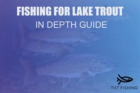 Fishing for Lake Trout – The Ultimate Guide – Tilt Fishing