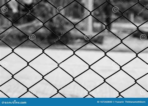 Decorative Wire Mesh Of Fence In The Garden Stock Photo Image Of