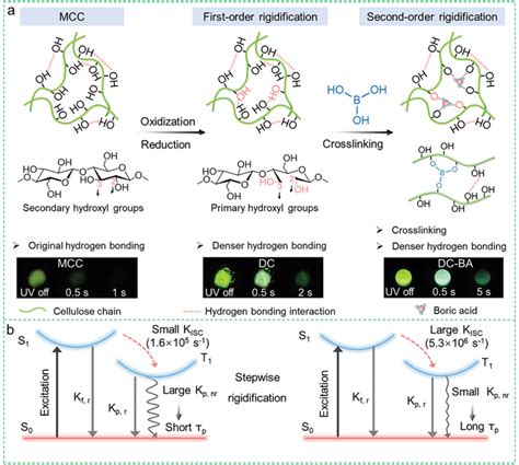 Schematic Representation Of Stepwise Rigidification Strategy A