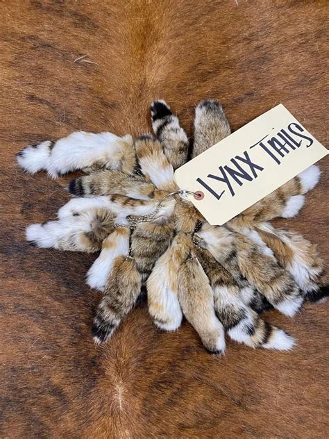 Natural Lynx Tail - Etsy