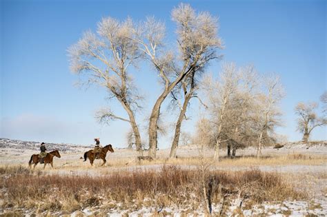 Media Gallery | Visit Pinedale, WY