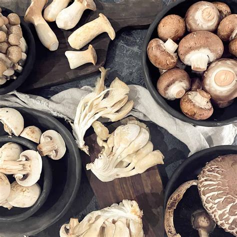 Top 10 Mushroom Substitutes (Best Alternatives for Flavor and Texture)