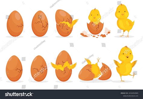 Chick Emerging Egg Images Stock Photos Vectors Shutterstock