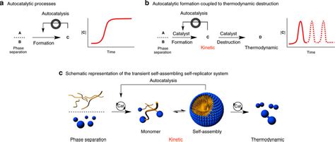 Examples of autocatalysis. a An autocatalytic system based on phase... | Download Scientific Diagram