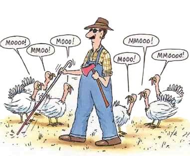 A LITTLE THANKSGIVING HUMOR