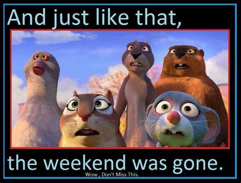 Funny Weekend Gone Meme - Funny Memes Mania