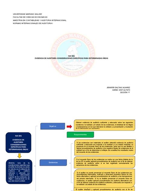 Nia 501 Esquema Pdf Auditoría Contralor