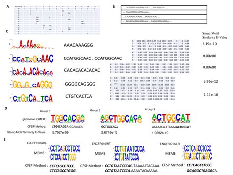 A One Conserved Sequence Which Occurs 79 Times In 46 264 Binding