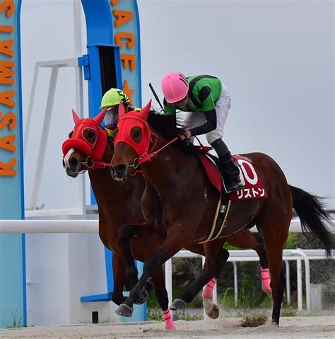 「中京スポーツ杯 第49回新緑賞（spⅡ）」競走の結果 笠松けいば