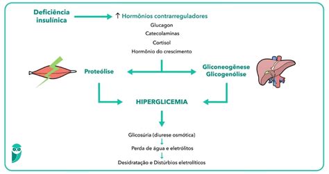 Resumo de Cetoacidose Diabética causas quadro clínico e mais