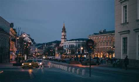 В Литве временно вводят пограничный контроль