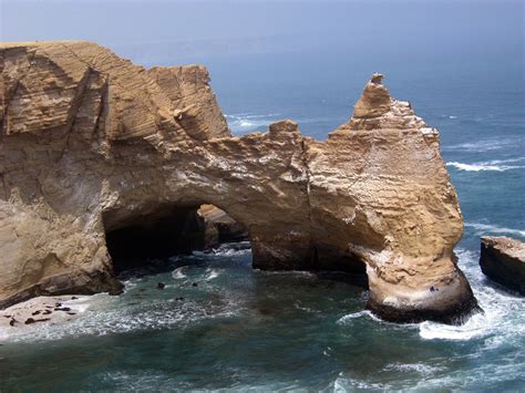 Maki Travel Reps Full Day Islas Ballestas Reserva Nacional