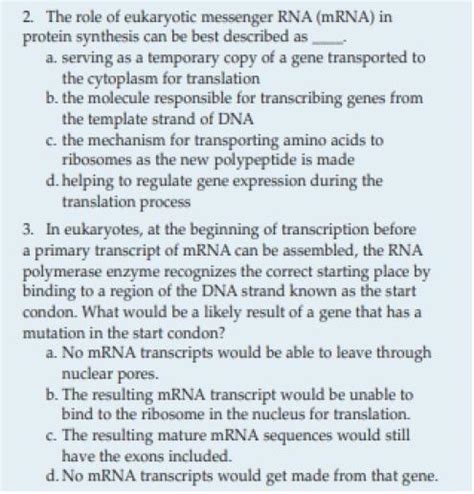 Solved The Role Of Eukaryotic Messenger Rna Mrna In Chegg