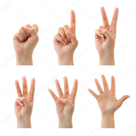 Counting hands (0 to 5) — Stock Photo © Violin #4167731