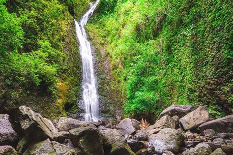 Manoa Valley Waterfalls And Lookouts Nature Hike Honolulu Project