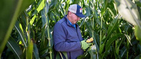 Flexibility In The Field: Addressing Issues Before They Impact Yield