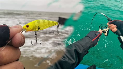 Pesca Nas Pedras Da Praia E Em Alto Mar Micro Jig E Iscas Artificiais