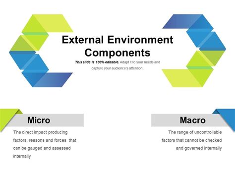 External Environment Components Ppt Examples Slides Presentation