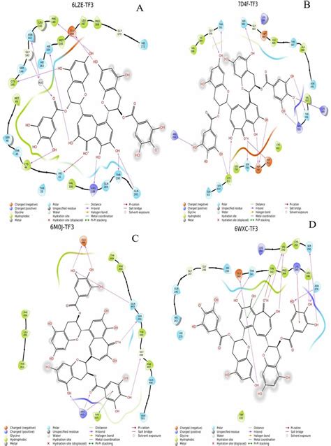 D Ligand Interaction Diagram Of Theaflavin Digallate With All