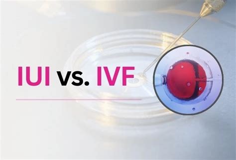 What Is The Difference Between Ivf And Icsi Pune Ivf