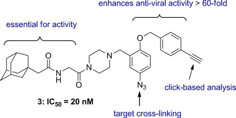 Inhibition Of Ebola Virus Infection Identification Of Niemann Pick C1