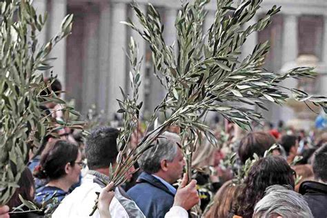 La Passione Nella Voce Del Santo Padre La Celebrazione Della Domenica