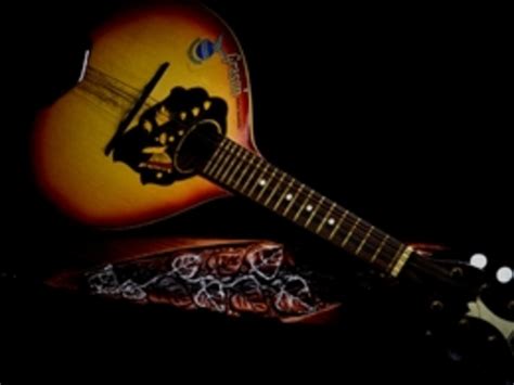 Master Mandolin with Tunefox: Over 230 Songs for All Levels | Tunefox