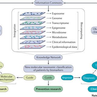 The Lung Exposome The Exposome Of The Lung Comprises A Diverse Array