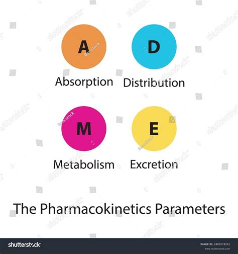 Diagram Showing Pharmacokinetic Parameters Adme Absorption Stock Vector Royalty Free