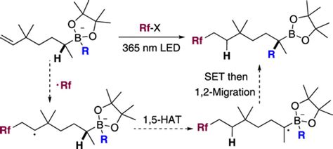 Boron Chem Research On Twitter Intramolecular Hydrogen Atom Transfer