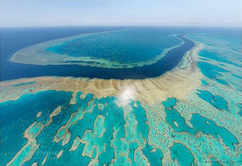 Scientists Warn Great Barrier Reef Is On Brink Of Collapse The People S Voice