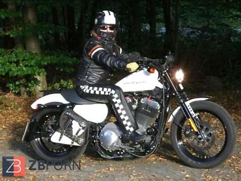 Von Mir Eingerittene Stuten ZB Porn