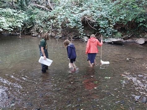 Winterbourne River Dip Bristol Avon Rivers Trust