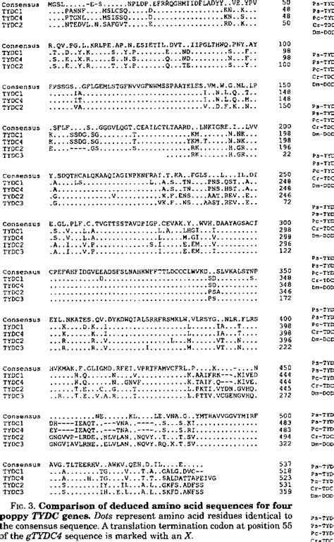 Figure 1 From Differential And Tissue Specific Expression Of A Gene