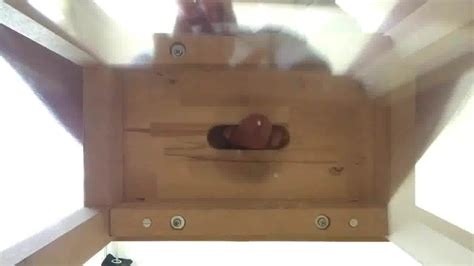 Cumshot On Cam Gay Man Man Porn XHamster