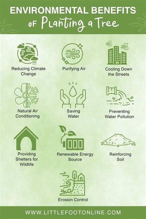 Environmental Benefits Of Planting A Tree Environmental Awareness