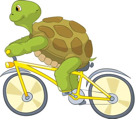 Riding Turtle Illustrations Royalty Free Vector Graphics And Clip Art