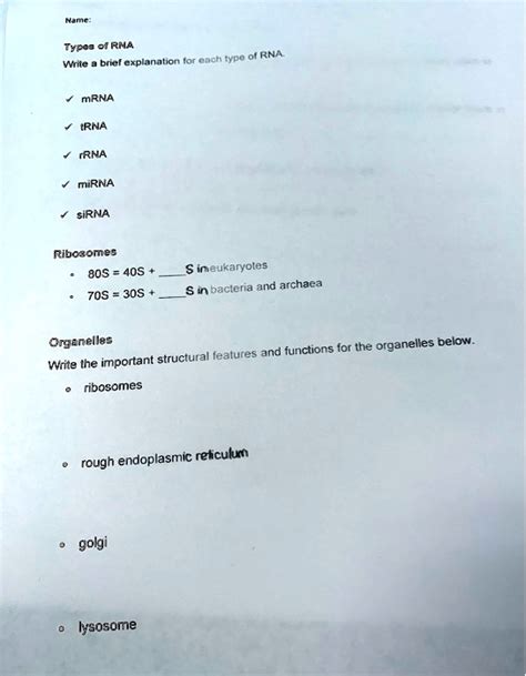 SOLVED: Hame Type CT RNA each type RNA. Write brol exolanalian for mRNA ...