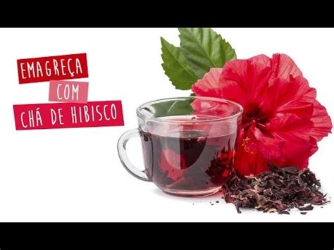 Chá de Hibisco Para Emagrecer e Perder Barriga YouTube