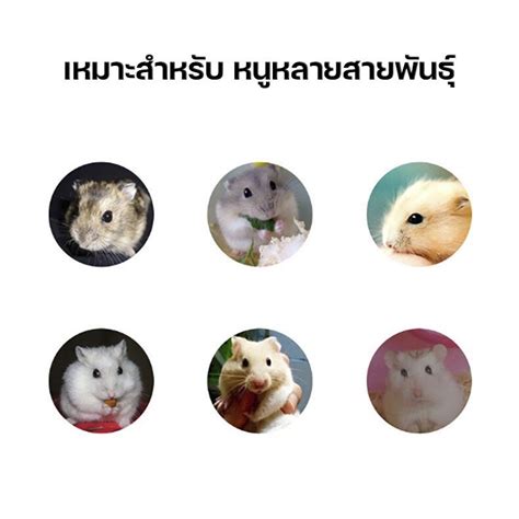 Jonsanty 454gอาหารหนูแฮมเตอร์ Hamster Food Blue สำหรับแฮมเตอร์ทุกสาย