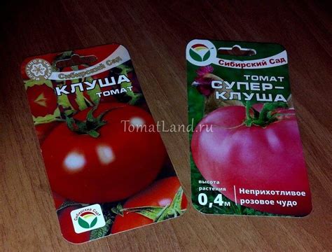 Томат Клуша: описание сорта, отзывы, фото