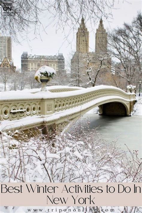 Best Winter Activities to Do In New York | Winter images, Winter ...