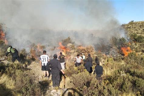 Perú Preocupa Aumento De Incendios Forestales Y Ausencia De Plan Para