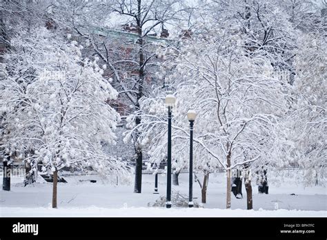 Boston common winter hi-res stock photography and images - Alamy