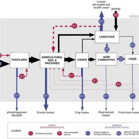 (PDF) Sustainable Phosphorus Measures: Strategies and Technologies for ... 