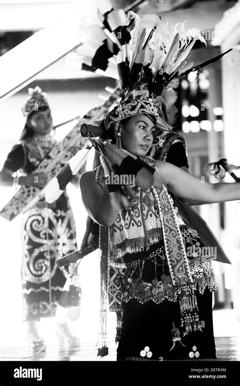 Dayak dance Bornéo Kalimantan Timur Stock Photo Alamy