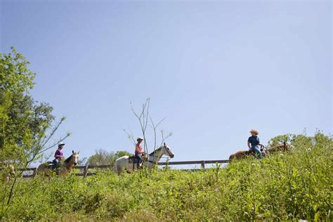 The 11 Best Things To Do In Bastrop, Texas